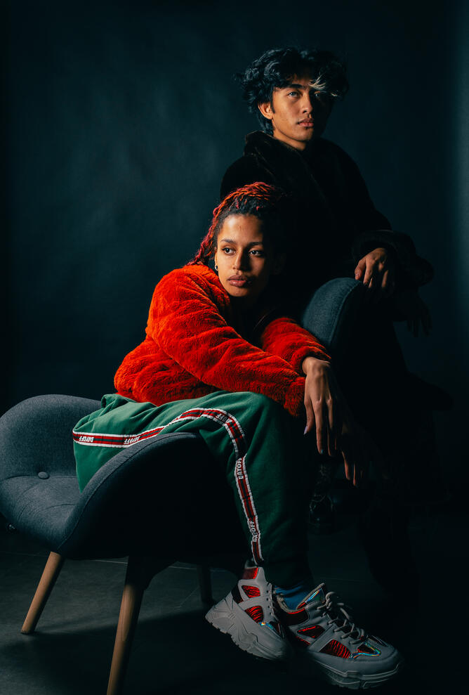 Viverra orci dapibus